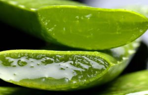 Dr. Balwi Shampoo Aloe Vera